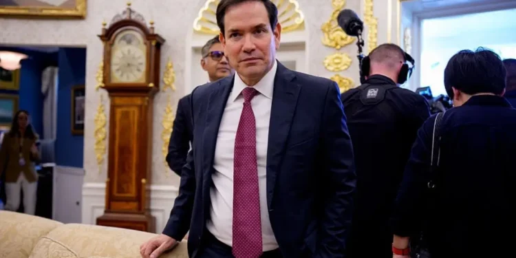 Marc Rubio gets roasted over supersize ears after viral photo (Photo by Anna Moneymaker/Getty Images)