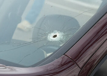Fatal shooting of Renee Nicole Good, by a U.S. immigration agent, in Minneapolis