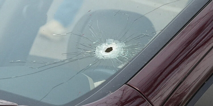 Fatal shooting of Renee Nicole Good, by a U.S. immigration agent, in Minneapolis