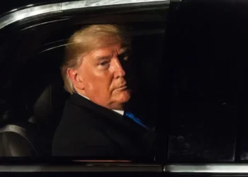 trump in the beast with someone