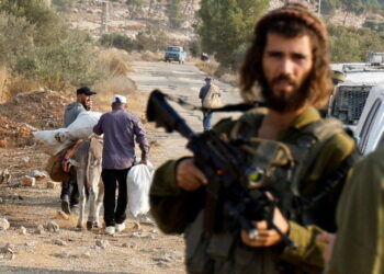 Israeli soldiers check the identity cards of Palestinians entering their land to harvest olives during the annual olive-pi...