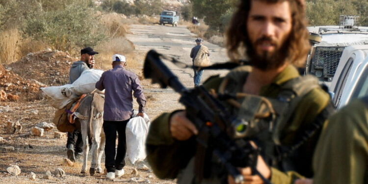 Israeli soldiers check the identity cards of Palestinians entering their land to harvest olives during the annual olive-pi...