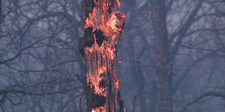 CU chelsea wildfire 2026-02-19 at 9.59.50 PM.png