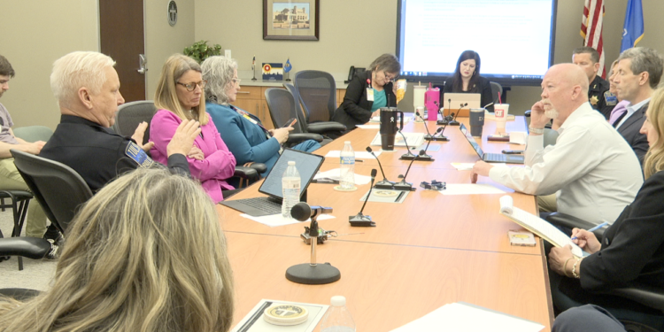 MARCH 25 CITY COUNCIL