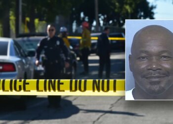 Darryl Lamar Collins, 55, mugshot