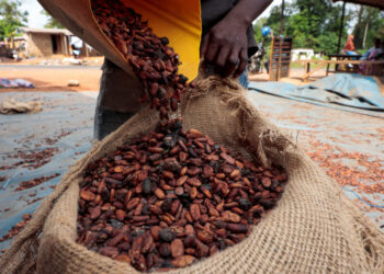 A worker fills a sack with cocoa beans as he prepares to gather unsold stocks of cocoa at the warehouse of Sekou Dagnogo, ...