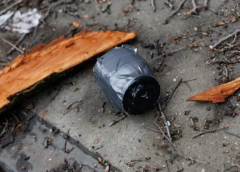 Matthew Hoen—NurPhoto/Getty Images