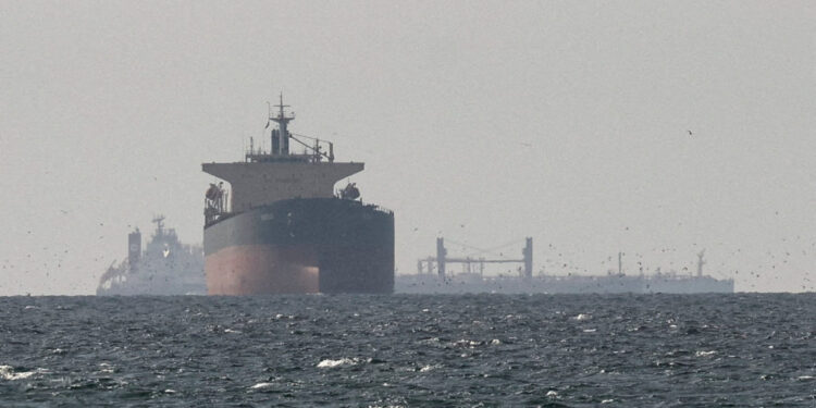 FILE PHOTO: Cargo ships in the Gulf, near the Strait of Hormuz