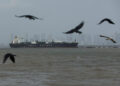 FILE PHOTO: Birds fly near the Jag Vasant vessel transferring LPG at a port after transiting the Strait of Hormuz amid sup...