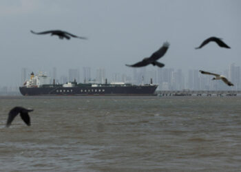 FILE PHOTO: Birds fly near the Jag Vasant vessel transferring LPG at a port after transiting the Strait of Hormuz amid sup...