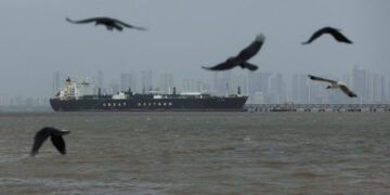 FILE PHOTO: Birds fly near the Jag Vasant vessel transferring LPG at a port after transiting the Strait of Hormuz amid sup...