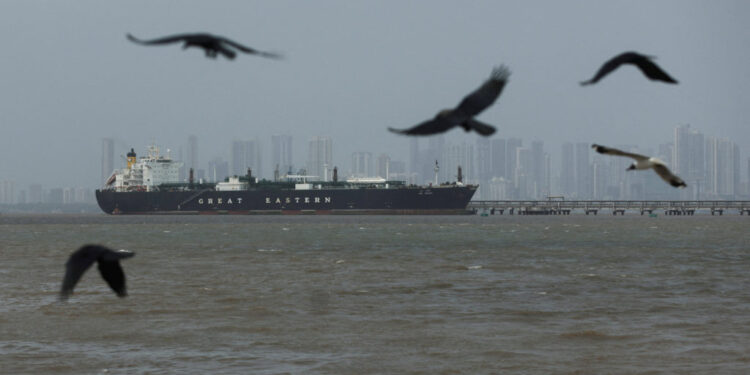 FILE PHOTO: Birds fly near the Jag Vasant vessel transferring LPG at a port after transiting the Strait of Hormuz amid sup...