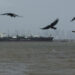 FILE PHOTO: Birds fly near the Jag Vasant vessel transferring LPG at a port after transiting the Strait of Hormuz amid sup...