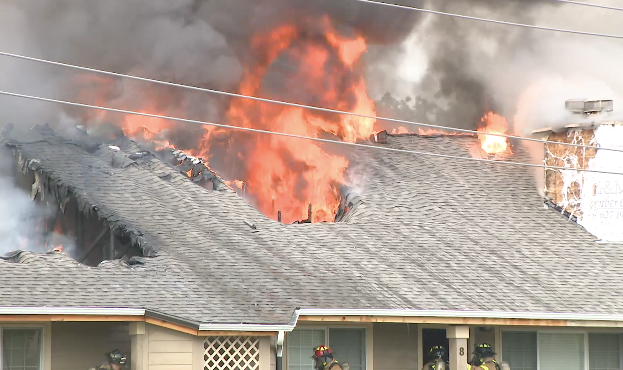 fire 2.png