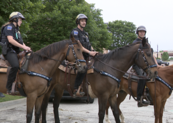 MOUNTED PATROL TPD