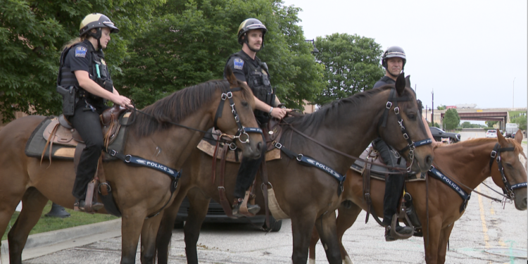 MOUNTED PATROL TPD