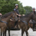 MOUNTED PATROL TPD