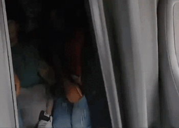 illegal aliens smuggled texas