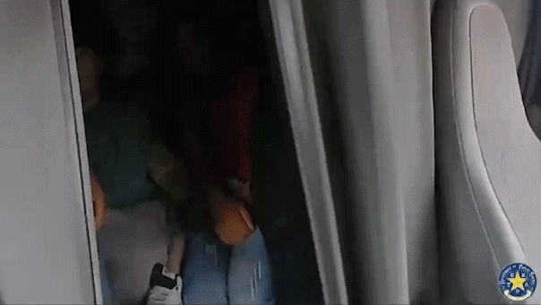 illegal aliens smuggled texas
