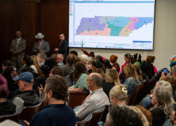 Demonstrators gather outside the Tennessee state capital building to protest edistricting