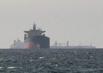 FILE PHOTO: Cargo ships in the Gulf, near the Strait of Hormuz