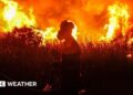Indonesian firefighters, from Indonesian Disaster Management, try to extinguish a wildfire on September 14, 2023. Forest and land fires engulfed many parts of the country due to the El Nino-induced dry season.