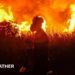 Indonesian firefighters, from Indonesian Disaster Management, try to extinguish a wildfire on September 14, 2023. Forest and land fires engulfed many parts of the country due to the El Nino-induced dry season.