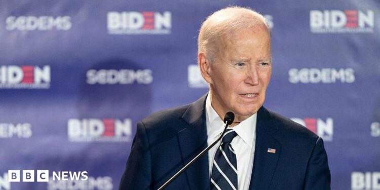 Joe Biden speaks in February