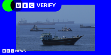 An image of ships in the Gulf of Oman with Verify branding