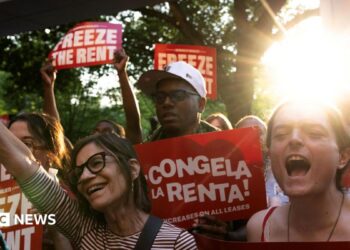 Tenant rights group members celebrating and cheering with sunshine and trees in the background in East Harlem, New York City.