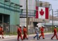 A Canadian national flag is seen in the background as seven workers dressed in orange work suits and white hard hats cross the street in front of ArcelorMittal Dofasco's steel manufacturing buildings in Hamilton, Ontario.