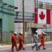 A Canadian national flag is seen in the background as seven workers dressed in orange work suits and white hard hats cross the street in front of ArcelorMittal Dofasco's steel manufacturing buildings in Hamilton, Ontario.