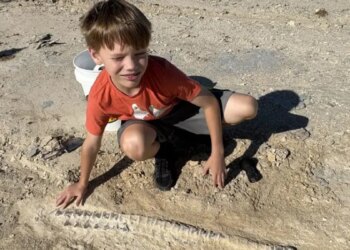 Boy standing over fossil in dirt