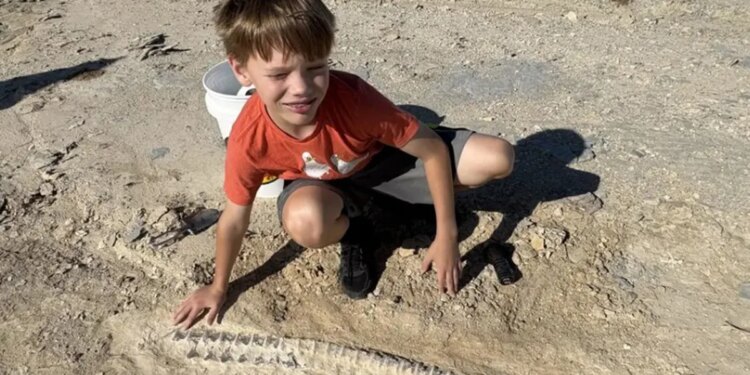 Boy standing over fossil in dirt