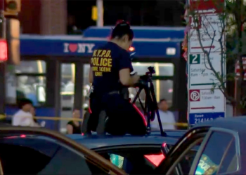 A cop on a police car in the Bronx