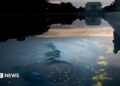 Chipped paint and algae are visible in the Lincoln Memorial Reflecting Pool at dusk.