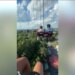 Recording of a person stuck on a ride.