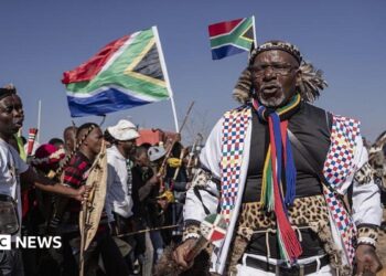Hundreds of protesters marching outdoors, chanting and holding south african flags and signs