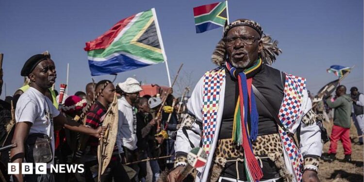 Hundreds of protesters marching outdoors, chanting and holding south african flags and signs