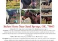 NetPosse Stolen horses flyer.jpg