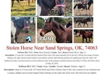 NetPosse Stolen horses flyer.jpg