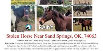 NetPosse Stolen horses flyer.jpg