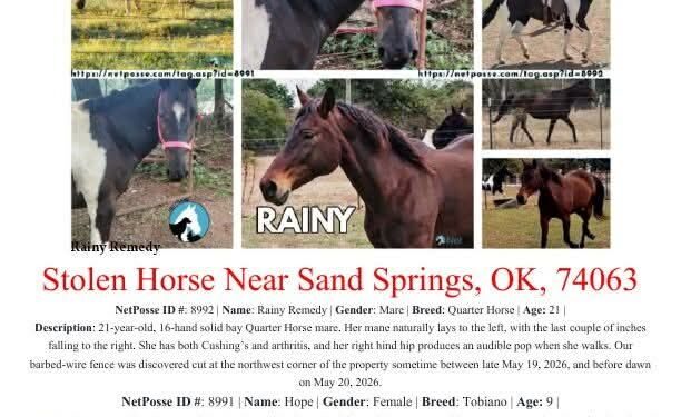 NetPosse Stolen horses flyer.jpg