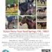 NetPosse Stolen horses flyer.jpg