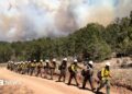 a line of firefighters walking along a dirt path in forest and smoke billows in background