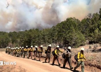 a line of firefighters walking along a dirt path in forest and smoke billows in background