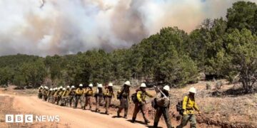 a line of firefighters walking along a dirt path in forest and smoke billows in background