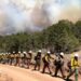 a line of firefighters walking along a dirt path in forest and smoke billows in background