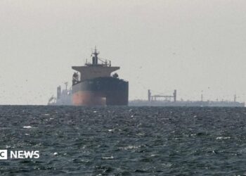 Cargo ships in the Gulf, near the Strait of Hormuz, on 11 March 2026