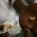 An individual holds a nugget of gold in his palm